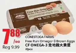 Btrust Supermarket Conestoga Farms Free Run Omega-3 Brown Eggs offer