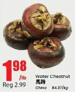 Btrust Supermarket Water Chestnut offer