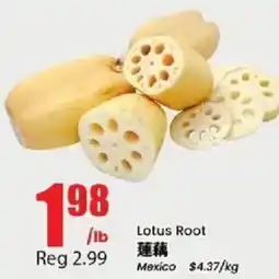 Btrust Supermarket Lotus Root offer