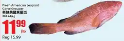 Btrust Supermarket Fresh American Leopard Coral Grouper offer