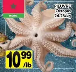 Supermarché PA Octopus offer