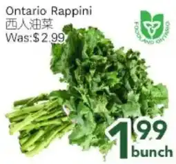 Ample Food Market Ontario Rappini offer