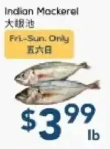 Oceans Fresh Food Market Indian Mackerel offer