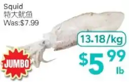 Ample Food Market Squid offer