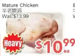 Ample Food Market Mature Chicken offer
