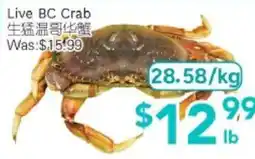 Ample Food Market Live BC Crab offer