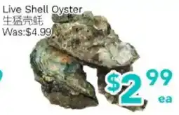 Ample Food Market Live Shell Oyster offer