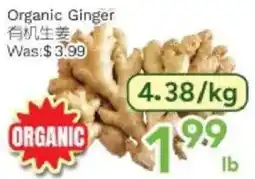 Ample Food Market Organic Ginger offer