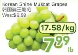 Ample Food Market Korean Shine Muscat Grapes offer