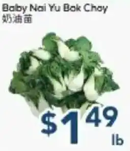 Oceans Fresh Food Market Baby Nai Yu Bak Choy offer