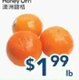 Oceans Fresh Food Market Honey Citri offer