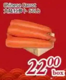 Tone Tai Supermarket Chinese Carrot offer