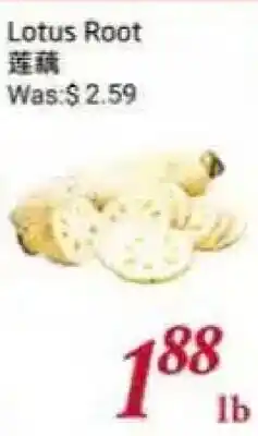 Tone Tai Supermarket Lotus Root offer