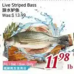 Tone Tai Supermarket Live Striped Bass offer