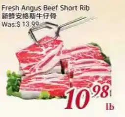 Tone Tai Supermarket Fresh Angus Beef Short Rib offer