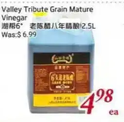 Tone Tai Supermarket Valley Tribute Grain Mature Vinegar offer