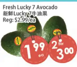 Fresh Palace Supermarket Fresh Lucky 7 Avocado offer