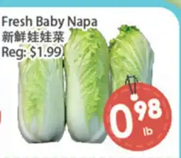 Fresh Palace Supermarket Fresh Baby Napa offer