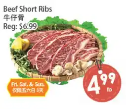 Fresh Palace Supermarket Beef Short Ribs offer