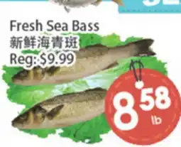 Fresh Palace Supermarket Fresh Sea Bass offer