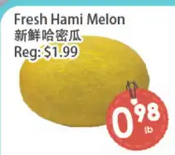 Fresh Palace Supermarket Fresh Hami Melon offer