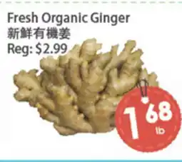 Fresh Palace Supermarket Fresh Organic Ginger offer