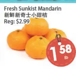 Fresh Palace Supermarket Fresh Sunkist Mandarin offer