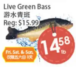 Fresh Palace Supermarket Live Green Bass offer