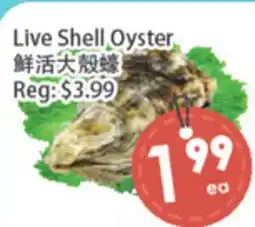 Fresh Palace Supermarket Live Shell Oyster offer