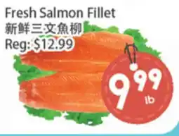 Fresh Palace Supermarket Fresh Salmon Fillet offer