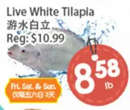 Fresh Palace Supermarket Live White Tilapia offer