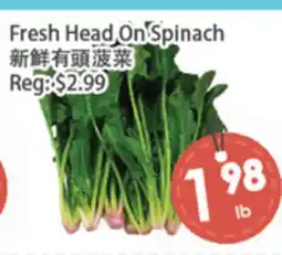 Fresh Palace Supermarket Fresh Head On Spinach offer