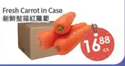 Fresh Palace Supermarket Fresh Carrot in Case offer