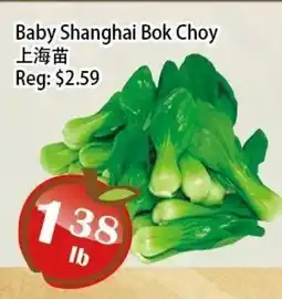 Food Depot Supermarket Baby Shanghai Bok Choy offer