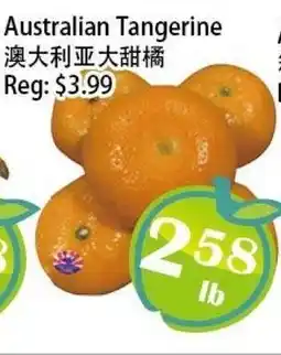 Food Depot Supermarket Australian Tangerine offer
