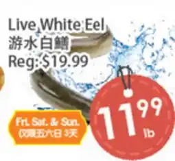Fresh Palace Supermarket Live White Eel offer