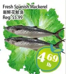 Food Depot Supermarket Fresh Spanish Mackerel offer