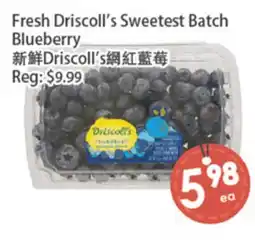 Fresh Palace Supermarket Fresh Driscoll's Sweetest Batch Blueberry offer
