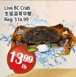 Food Depot Supermarket Live BC Crab offer
