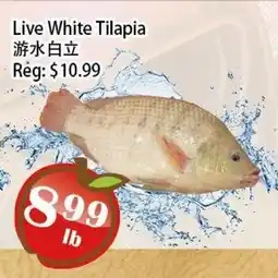 Food Depot Supermarket Live White Tilapia offer