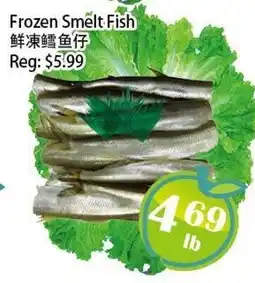 Food Depot Supermarket Frozen Smelt Fish offer