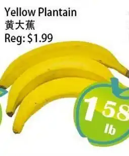 Food Depot Supermarket Yellow Plantain offer