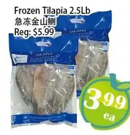 Food Depot Supermarket Frozen Tilapia 2.5Lb offer