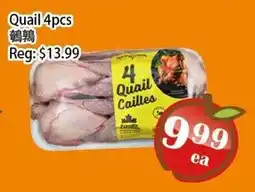 Food Depot Supermarket Quail 4pcs offer