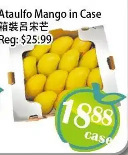 Food Depot Supermarket Ataulfo Mango in Case offer