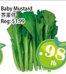 Food Depot Supermarket Baby Mustard offer