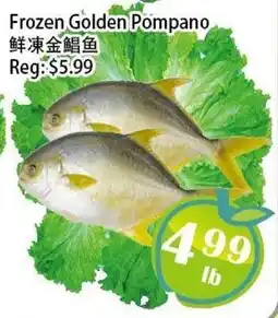 Food Depot Supermarket Frozen Golden Pompano offer
