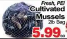 Concord Food Centre & Oak Ridges Food Market Cultivated Mussels offer