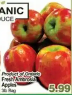 Concord Food Centre & Oak Ridges Food Market Fresh Ambrosia Apples offer
