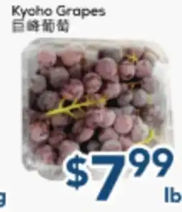 Oceans Fresh Food Market Kyoto Grapes offer